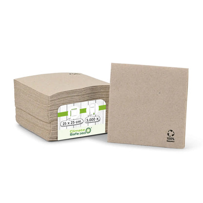 Premium recycled paper napkins 25 x 25 cm, 2 layers 